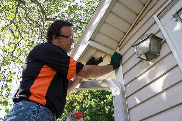 Same-Day Junk Removal Services in Ludington, MI